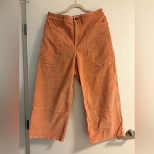 Everlane Pink Corduroy Garden Pants